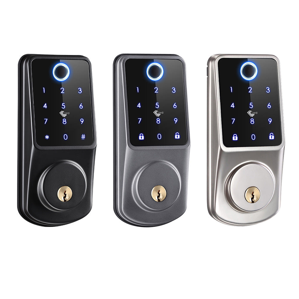 Password Fingerprint App Control Lock – Smartes Schloss mit Fingerabdruck, Passwort & App für Zuhause, Hotel & Büro