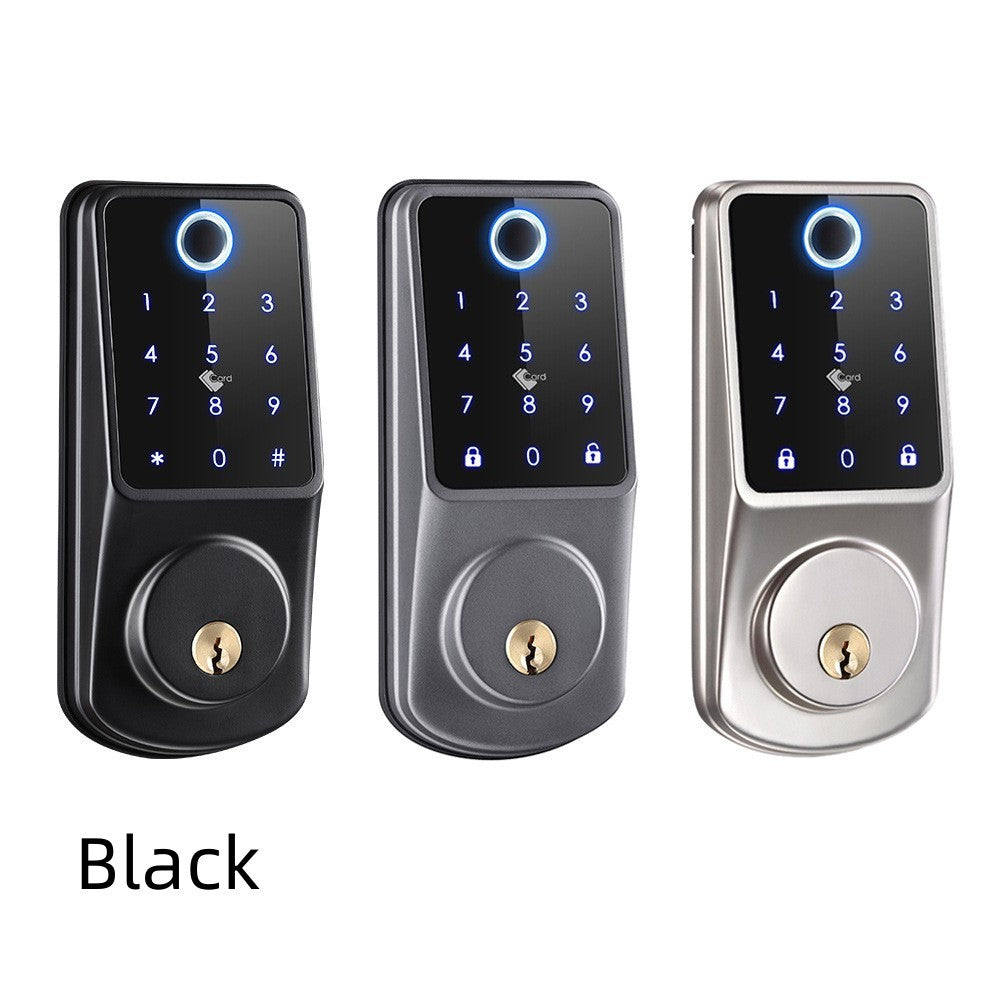 Password Fingerprint App Control Lock – Smartes Schloss mit Fingerabdruck, Passwort & App für Zuhause, Hotel & Büro